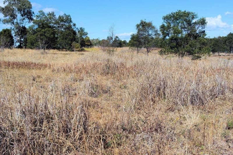 Lot 106 West Lanitza Rd LANITZA NSW, Lanitza - Thumbnail 6