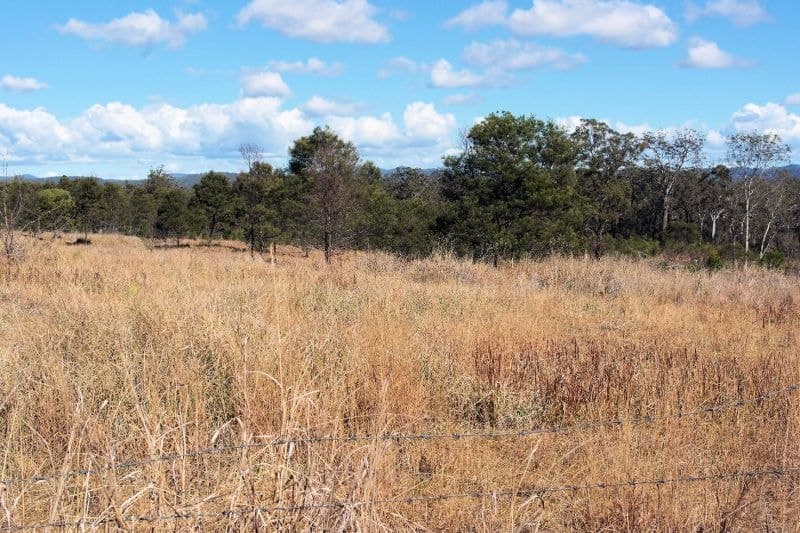 Lot 106 West Lanitza Rd LANITZA NSW, Lanitza - Thumbnail 8