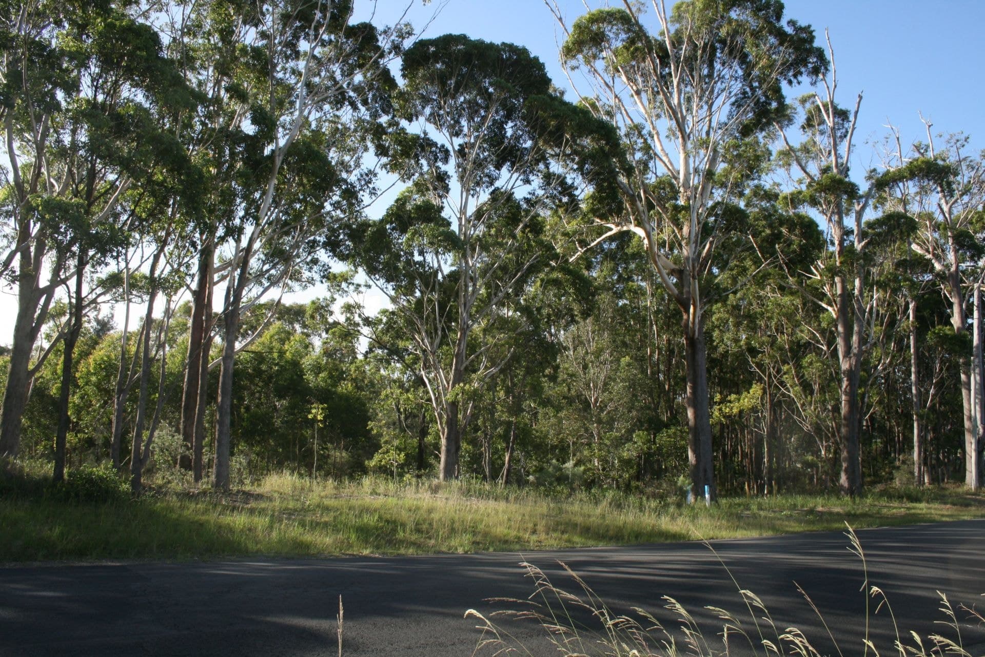 77 Coral St CORINDI BEACH NSW, Corindi Beach - Thumbnail 3
