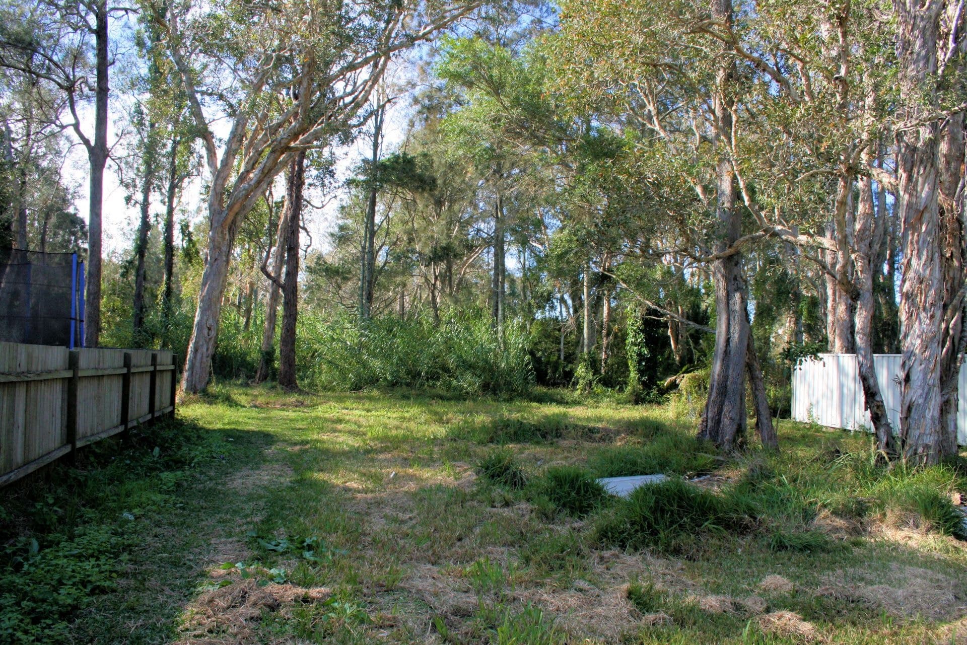 41 Pine Cres SANDY BEACH NSW, Sandy Beach - Thumbnail 2