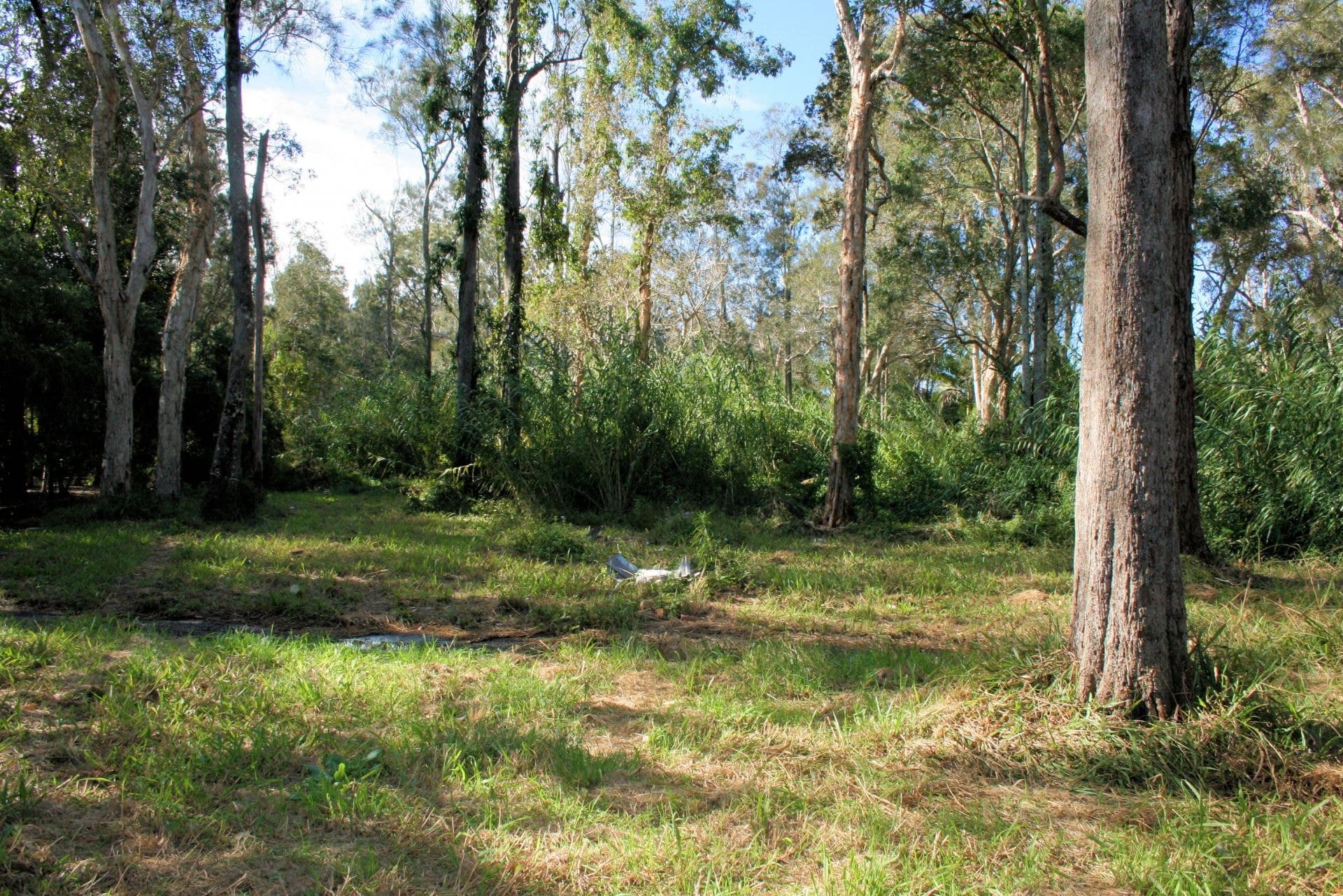 41 Pine Cres SANDY BEACH NSW, Sandy Beach - Thumbnail 3