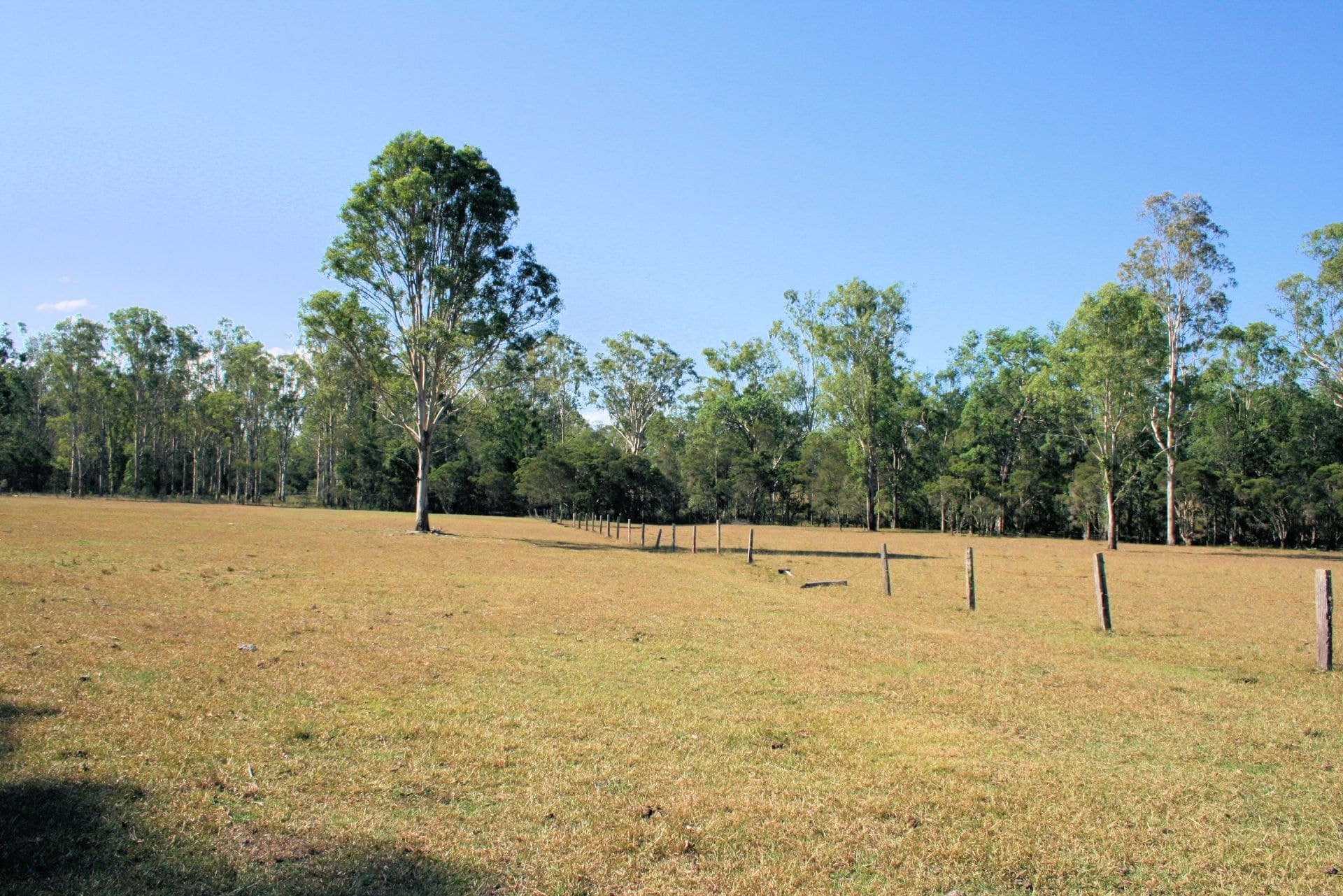 4538 Orara Way LANITZA NSW, Lanitza - Thumbnail 2