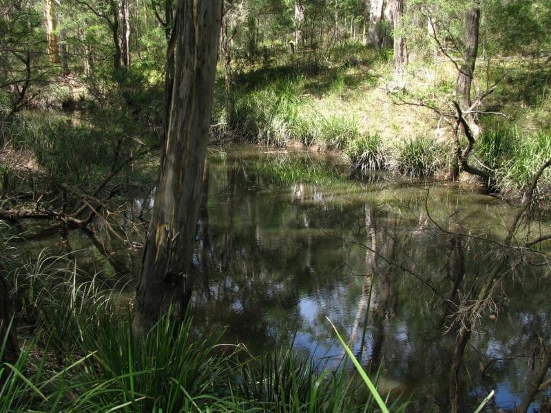 14 Perch Road LANITZA NSW, Road Lanitza - Thumbnail 5