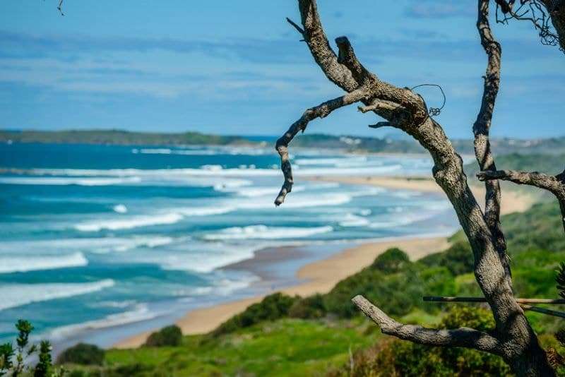40 Ocean Street WOOLGOOLGA NSW, Woolgoolga - Thumbnail 6
