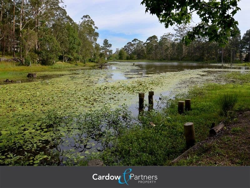 111D Woolgoolga Creek Road WOOLGOOLGA NSW, Woolgoolga - Image 1