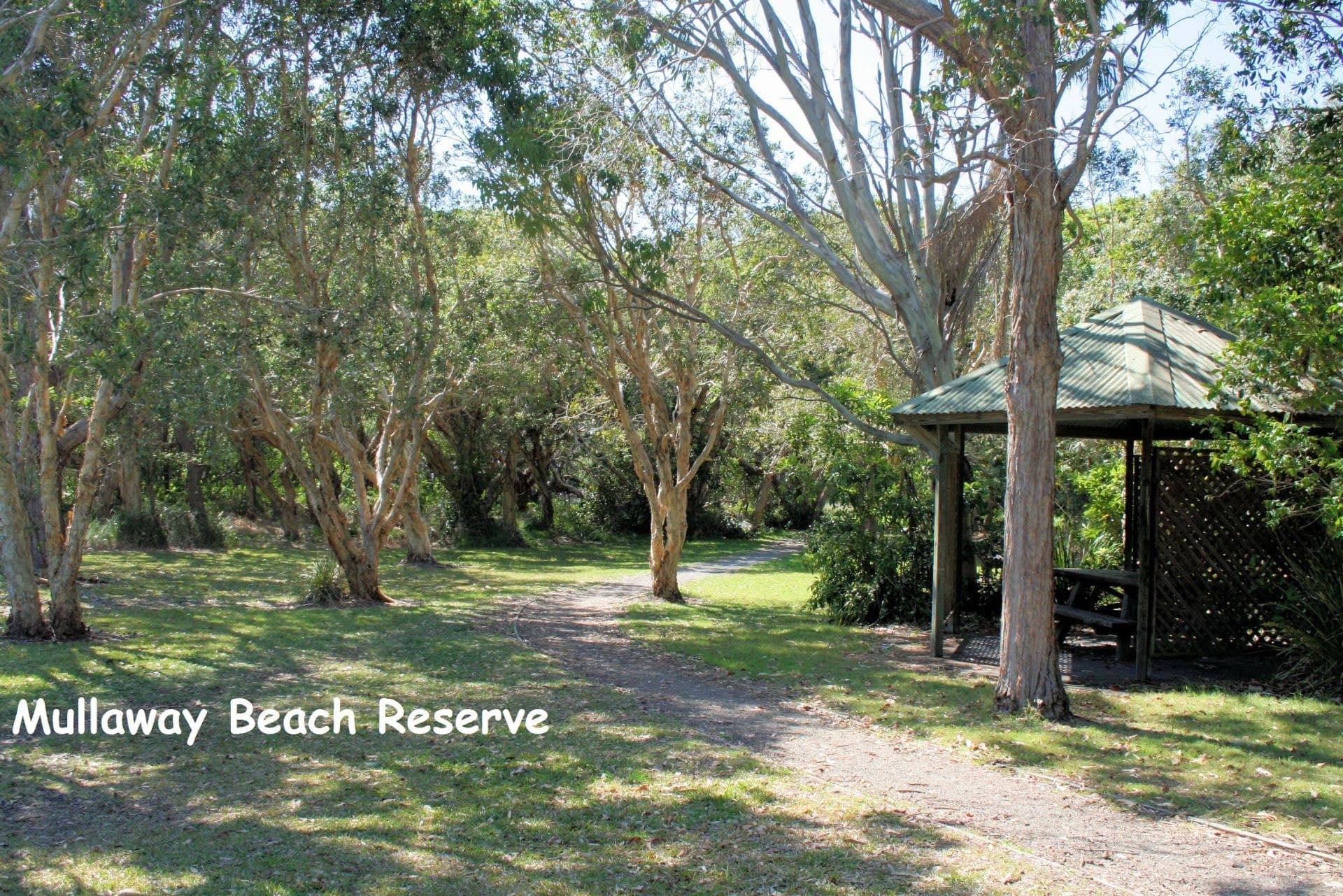 25 Orchid Road MULLAWAY NSW, Road Mullaway - Thumbnail 3