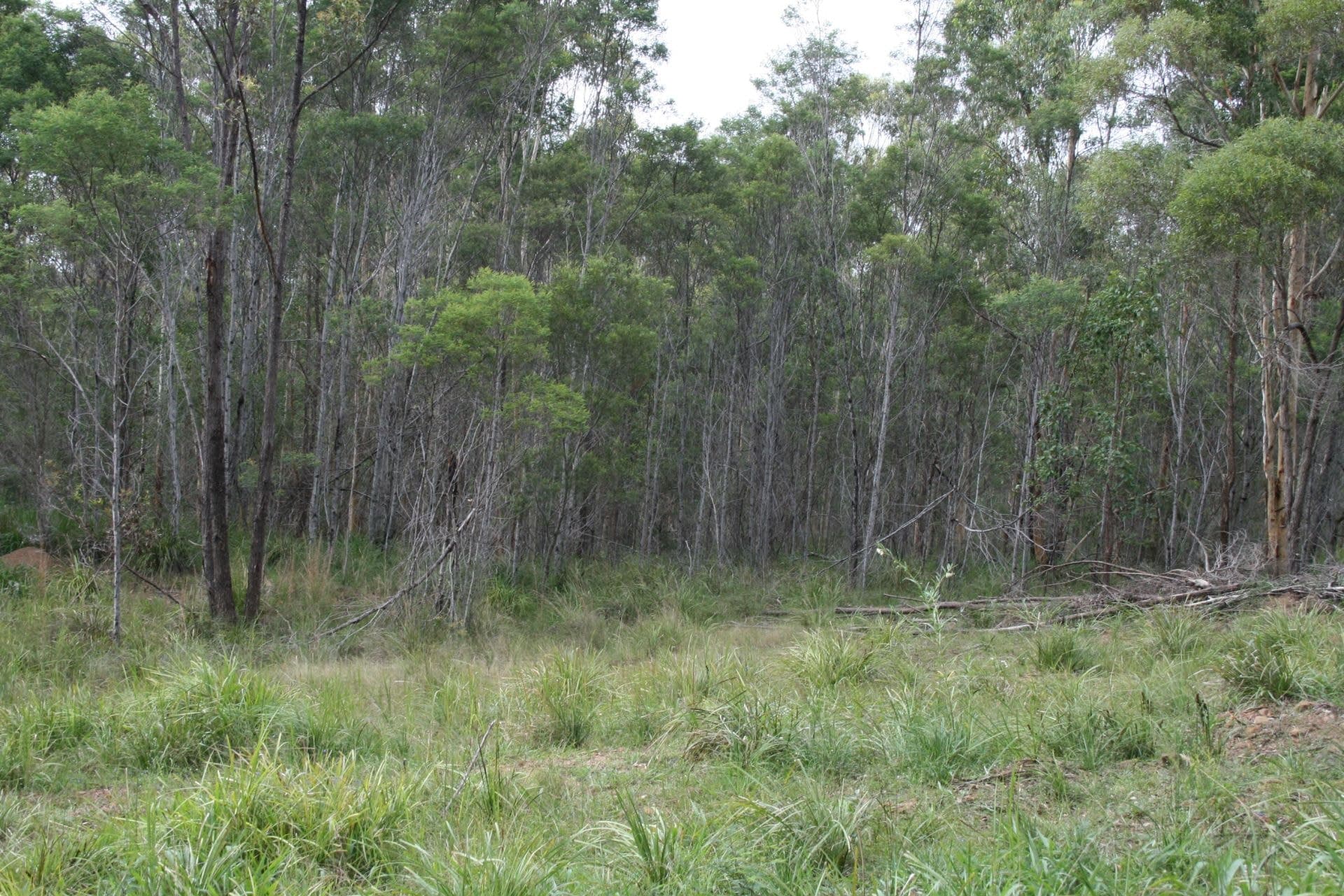Lot 53 The Desert LANITZA NSW, Lot 53 The Desert Lanitza - Image 1