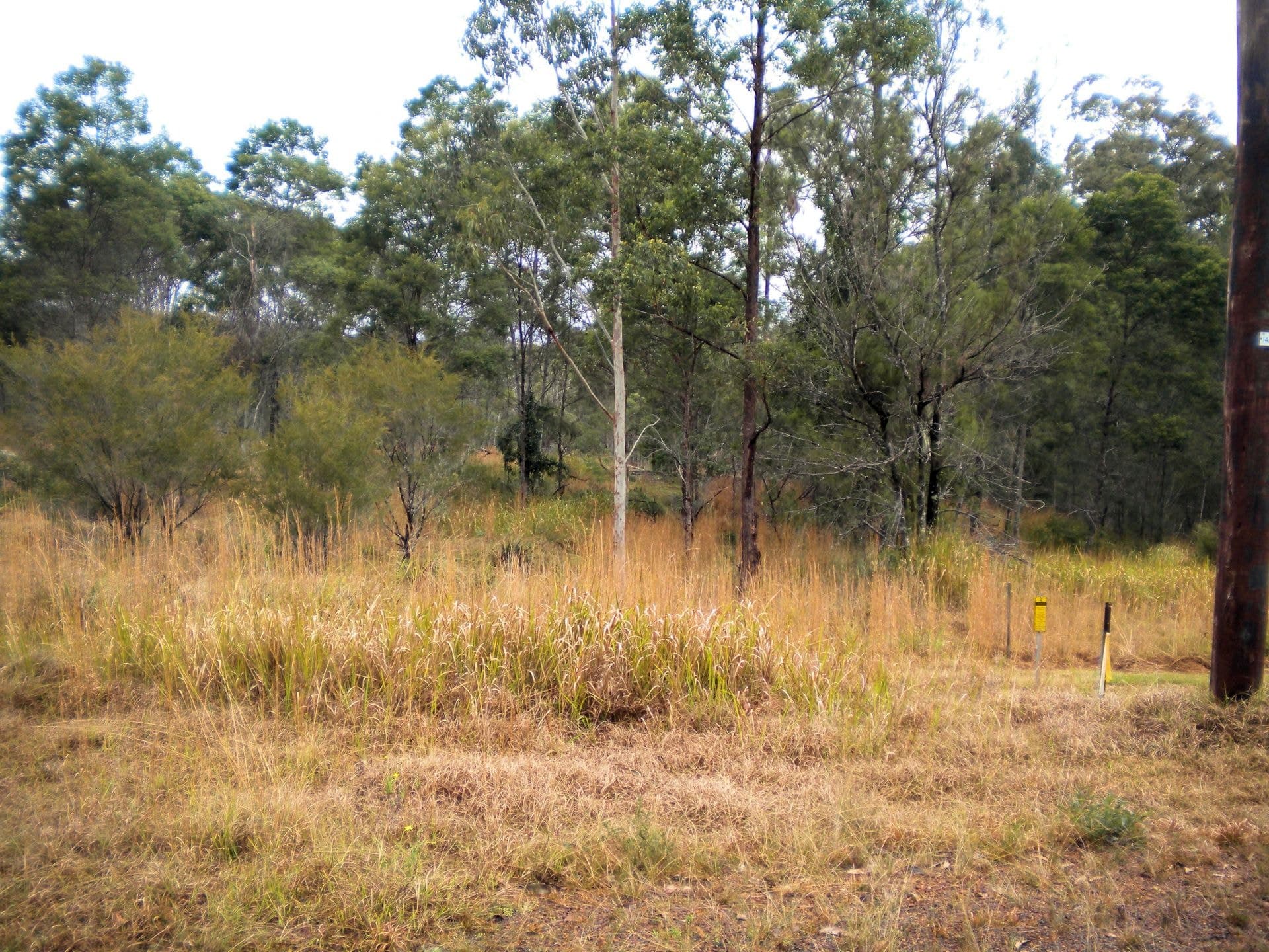 Lot 53 The Desert LANITZA NSW, Lot 53 The Desert Lanitza - Thumbnail 2