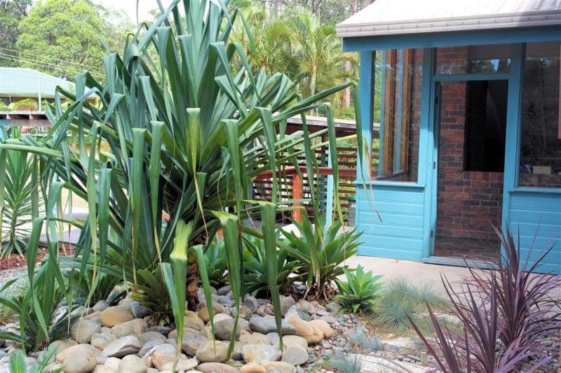 23 St Andrews Drive WOOLGOOLGA NSW, Woolgoolga - Thumbnail 7