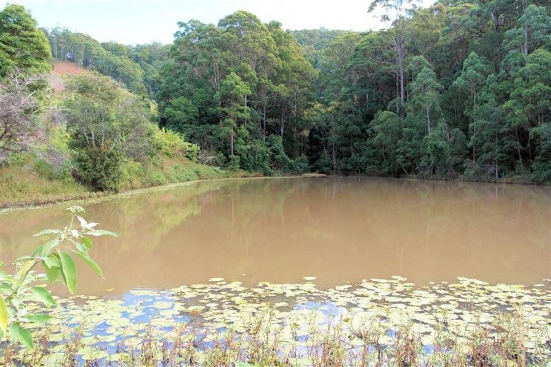 Lot 4 Newmans Road WOOLGOOLGA NSW, Woolgoolga - Thumbnail 2
