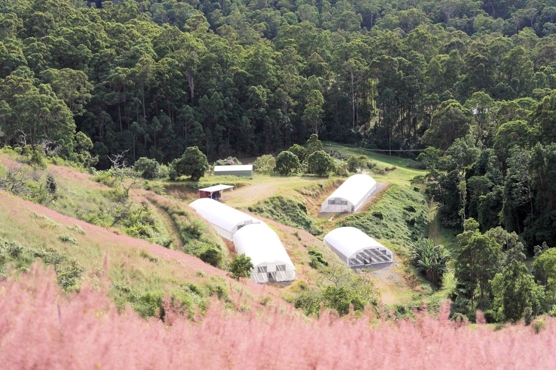 Lot 4 Newmans Road WOOLGOOLGA NSW, Woolgoolga - Thumbnail 5