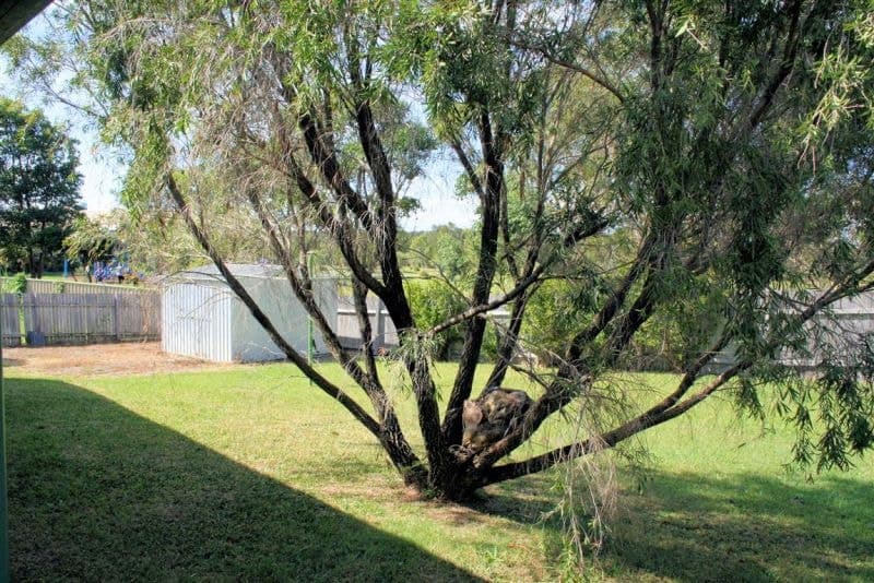 22 Maldon Place WOOLGOOLGA NSW, Woolgoolga - Thumbnail 5