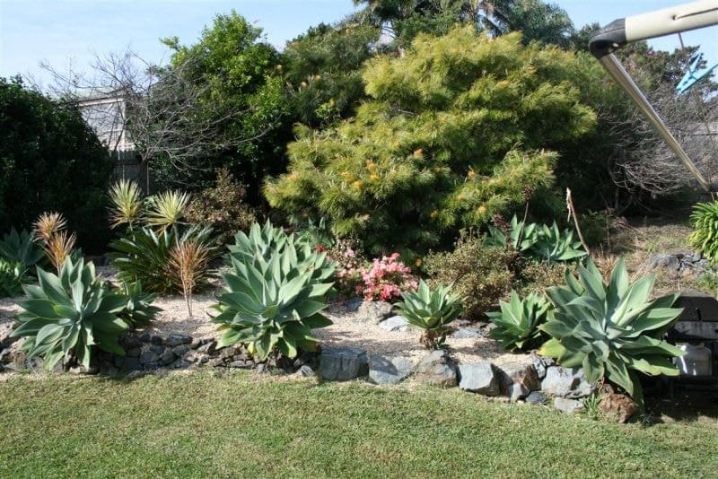 18 Ryan Cres WOOLGOOLGA NSW, Woolgoolga - Thumbnail 5