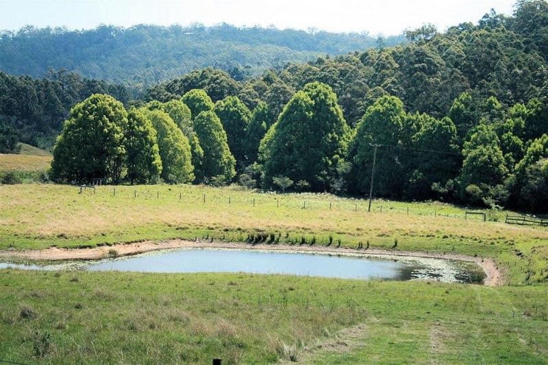 141 Duffus Road UPPER CORINDI NSW, Upper Corindi - Image 1