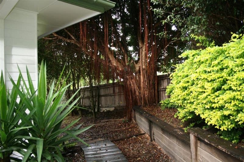 1 Oak Close SANDY BEACH NSW, Sandy Beach - Thumbnail 7