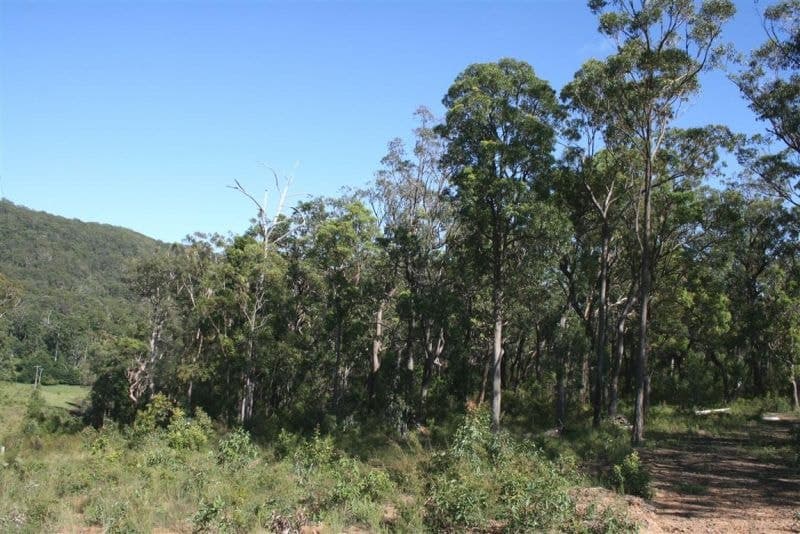 Lot 125 Featherstone Rd SHERWOOD NSW, Sherwood - Thumbnail 3