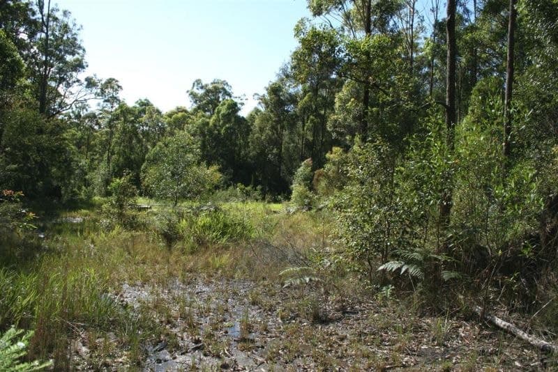 Lot 125 Featherstone Rd SHERWOOD NSW, Sherwood - Thumbnail 4