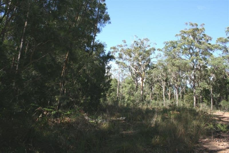 Lot 125 Featherstone Rd SHERWOOD NSW, Sherwood - Thumbnail 6