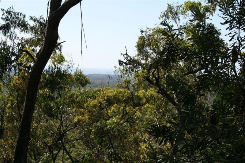 Lot 65 Alice Close DIRTY CREEK NSW, Dirty Creek - Thumbnail 2