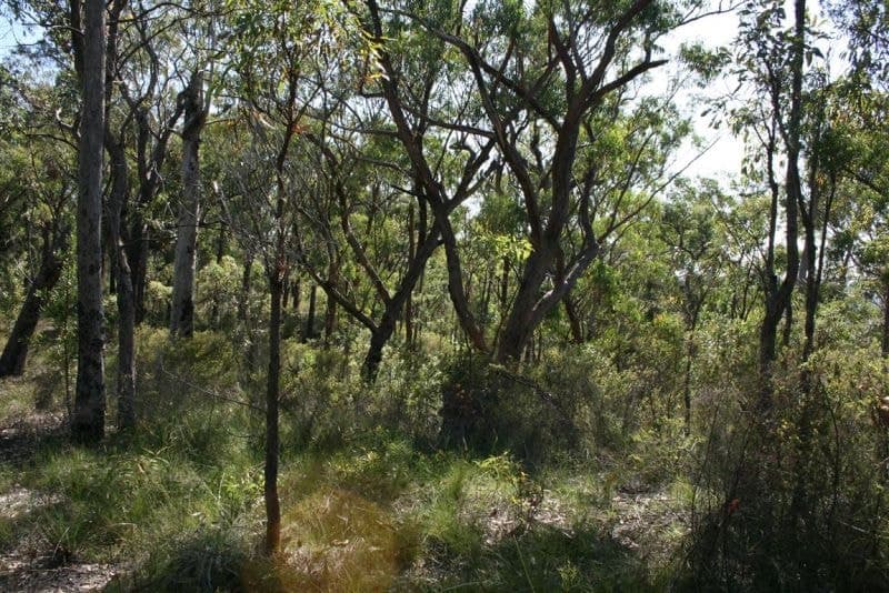 Lot 65 Alice Close DIRTY CREEK NSW, Dirty Creek - Thumbnail 3