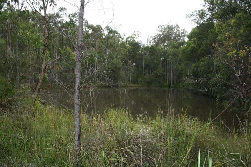 Lot 51 Parker Road LANITZA NSW, Lanitza - Thumbnail 2