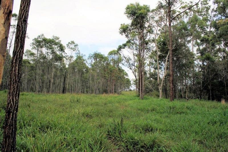 Lot 51 Parker Road LANITZA NSW, Lanitza - Thumbnail 4