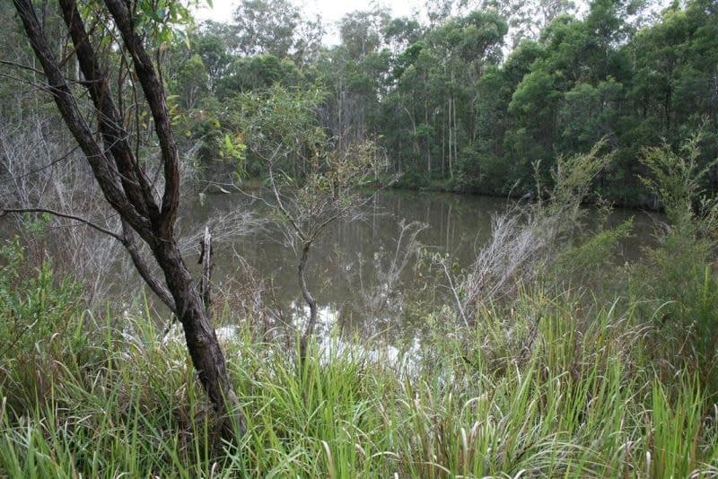 Lot 3 Parker Road LANITZA NSW, Lanitza - Thumbnail 2