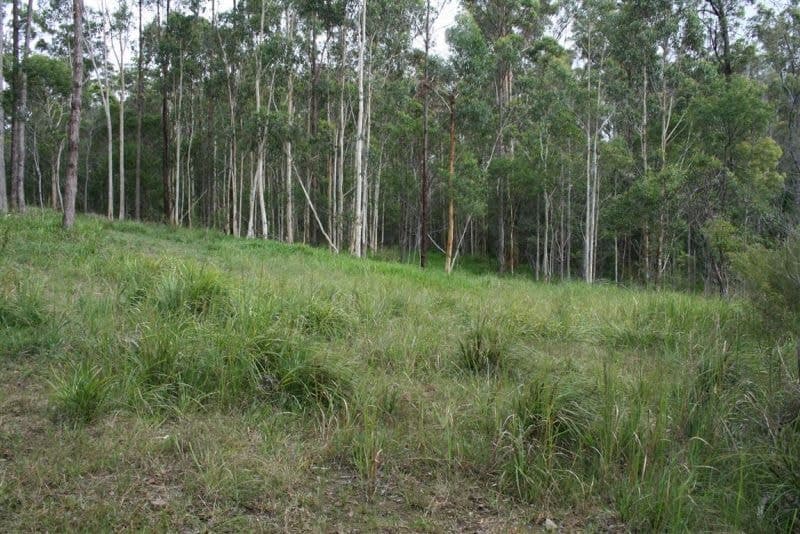 Lot 3 Parker Road LANITZA NSW, Lanitza - Thumbnail 4