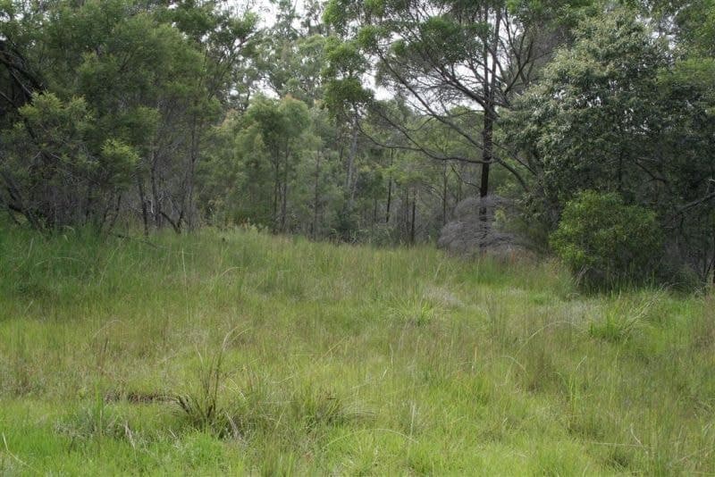 Lot 3 Parker Road LANITZA NSW, Lanitza - Thumbnail 5
