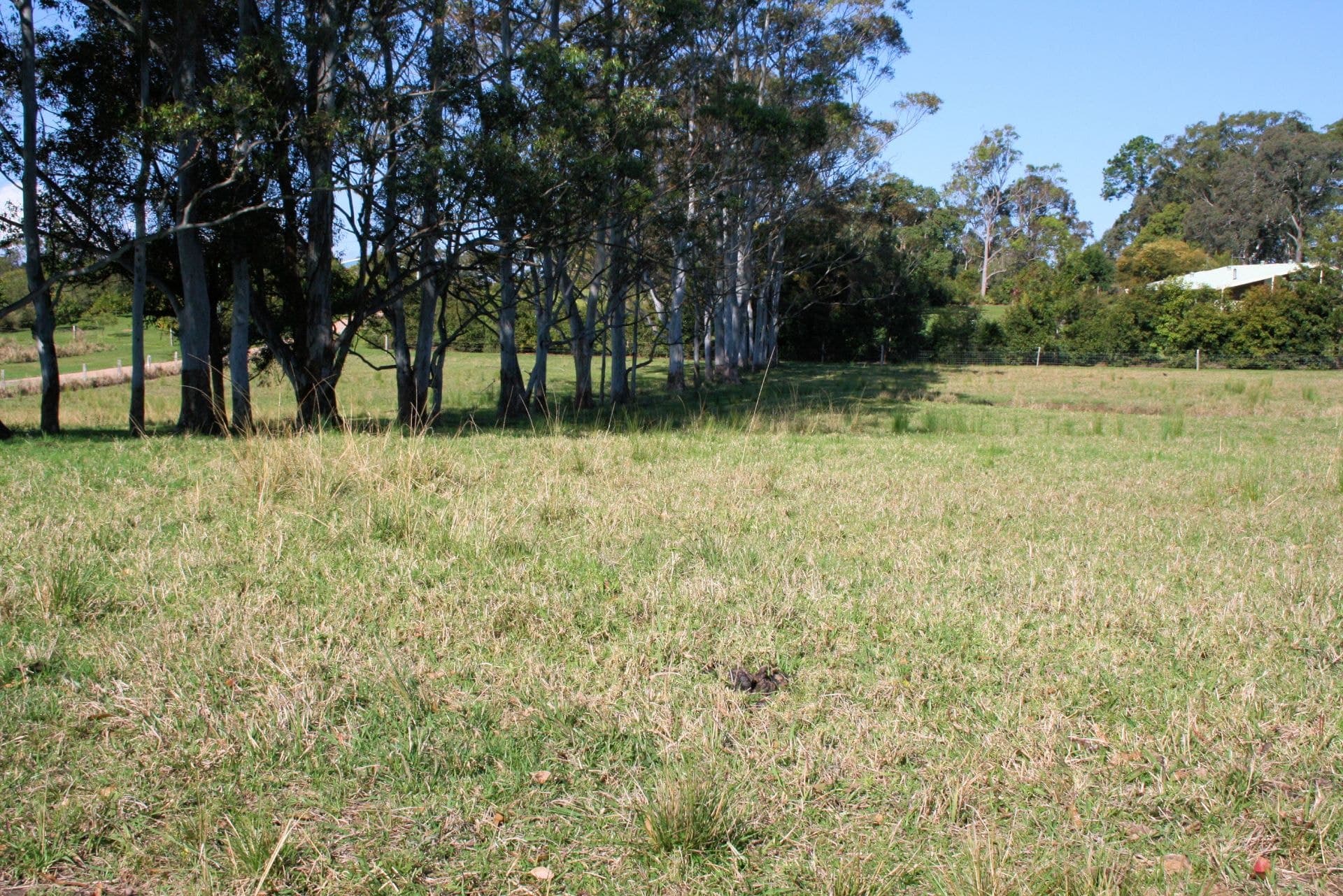 45 Corindi Park Drive CORINDI BEACH NSW, Corindi Beach - Image 1