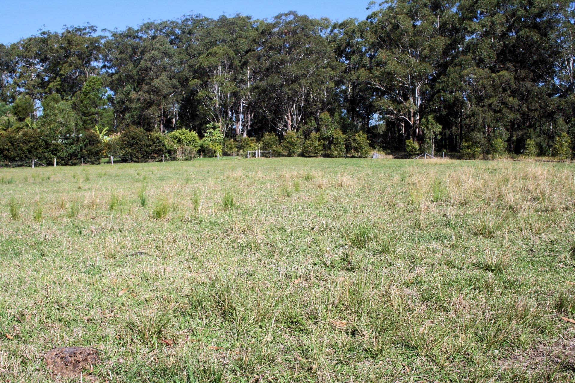 45 Corindi Park Drive CORINDI BEACH NSW, Corindi Beach - Thumbnail 2