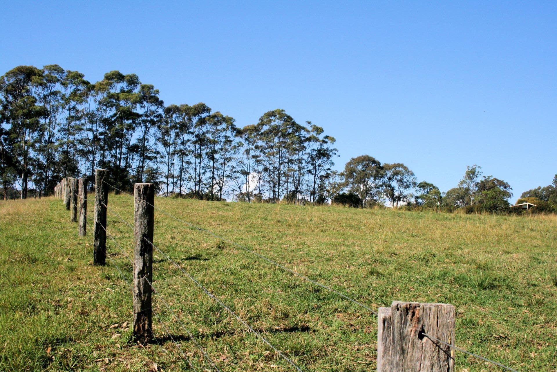 45 Corindi Park Drive CORINDI BEACH NSW, Corindi Beach - Thumbnail 4
