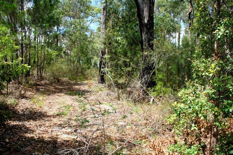 Lot 66 Alice Close DIRTY CREEK NSW, Dirty Creek - Thumbnail 2