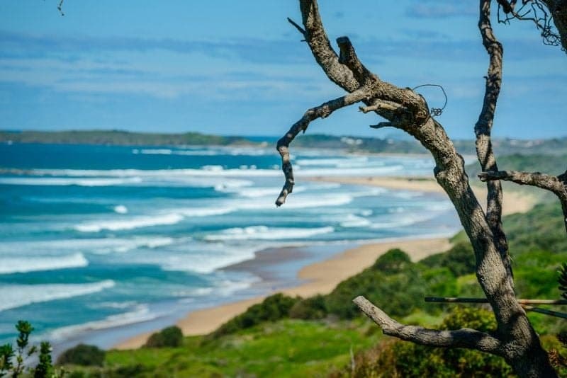 40 Ocean Street WOOLGOOLGA NSW, Woolgoolga - Thumbnail 6