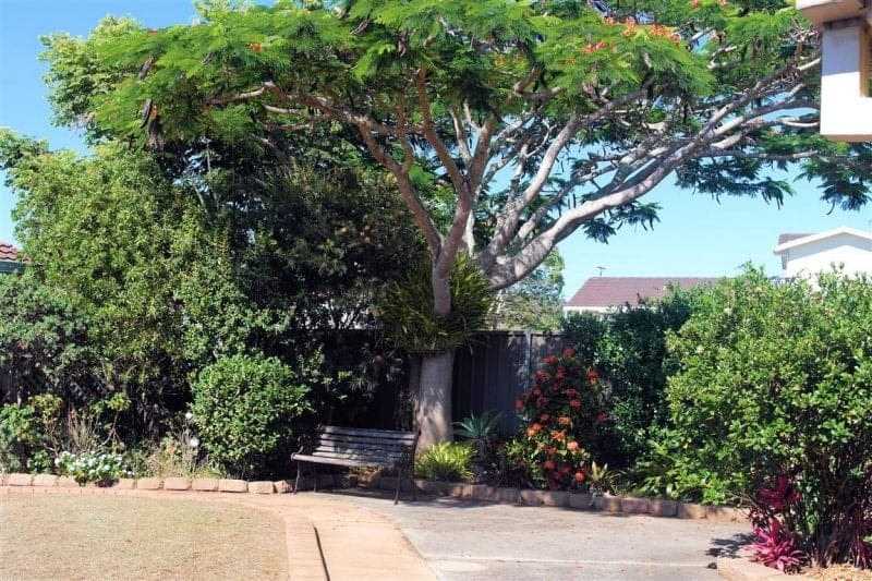 23 Turon Parade WOOLGOOLGA NSW, Woolgoolga - Thumbnail 2