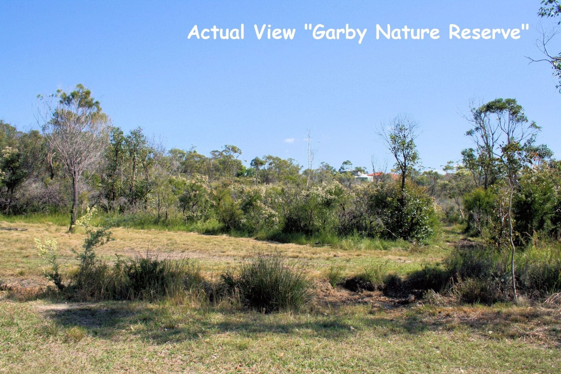 25 Orchid Road MULLAWAY NSW, Mullaway - Image 1