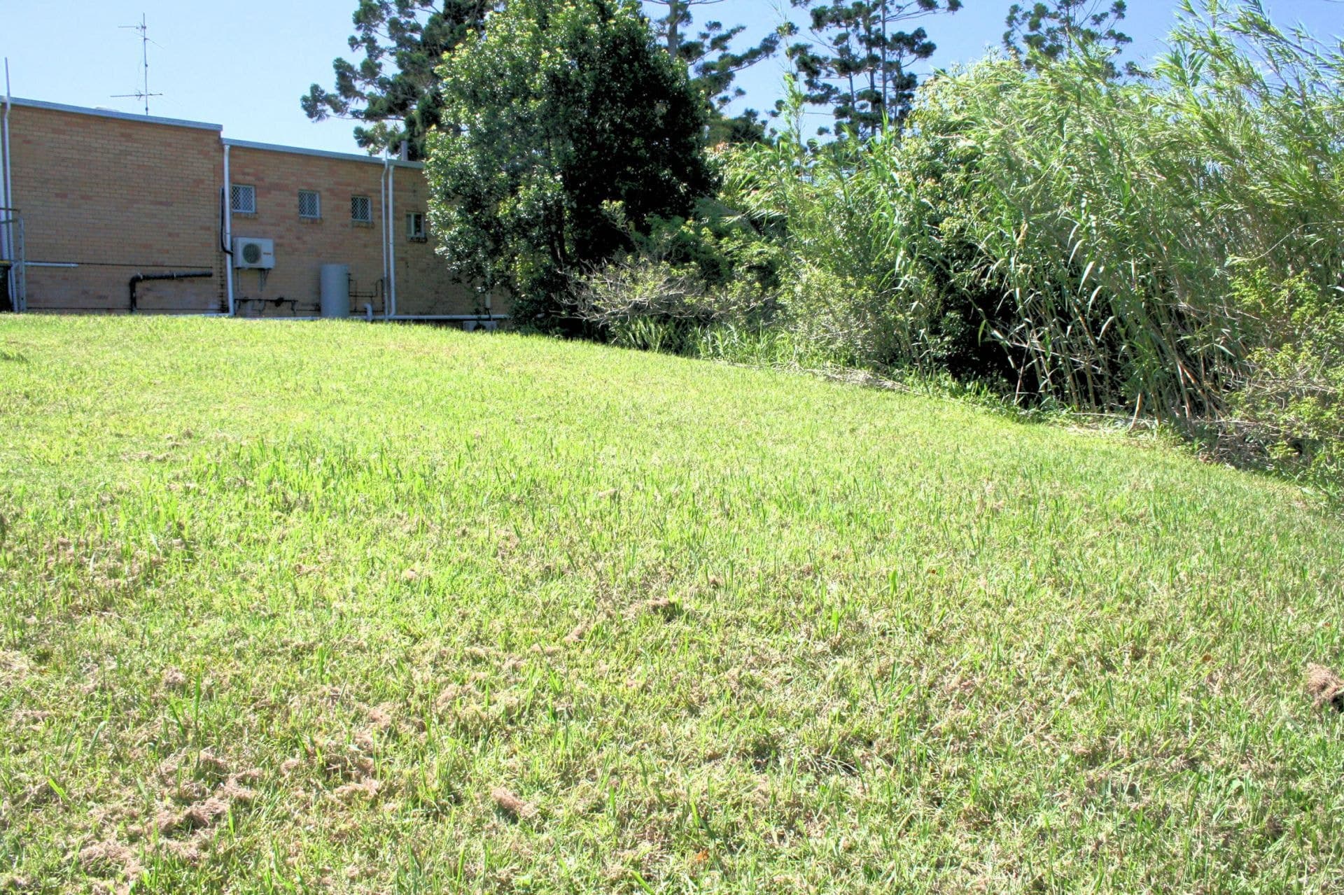 Lot 2 Hasting Street WOOLGOOLGA NSW, Woolgoolga - Image 1