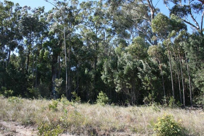 Lot 73 Woodward Close CORINDI BEACH NSW, Corindi Beach - Image 1