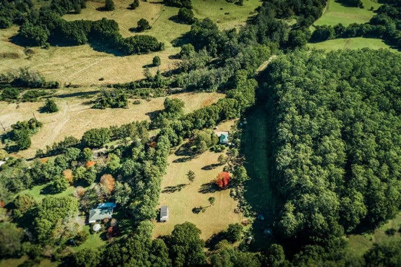 62 Buffer Creek Road BELLINGEN NSW, Bellingen - Thumbnail 4