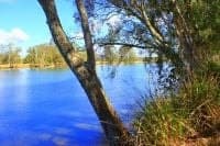 313 South Arm Road URUNGA NSW, Urunga - Image 1
