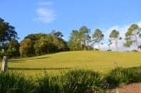 21 Smiths Road REPTON NSW, Repton - Image 1