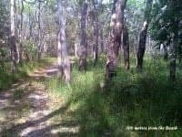 70 Rosedale Drive URUNGA NSW, 250 Hungry Head Urunga - Image 1