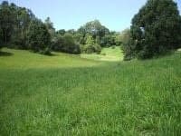 Lot 5 Perrys Lane REPTON NSW, Repton - Image 1