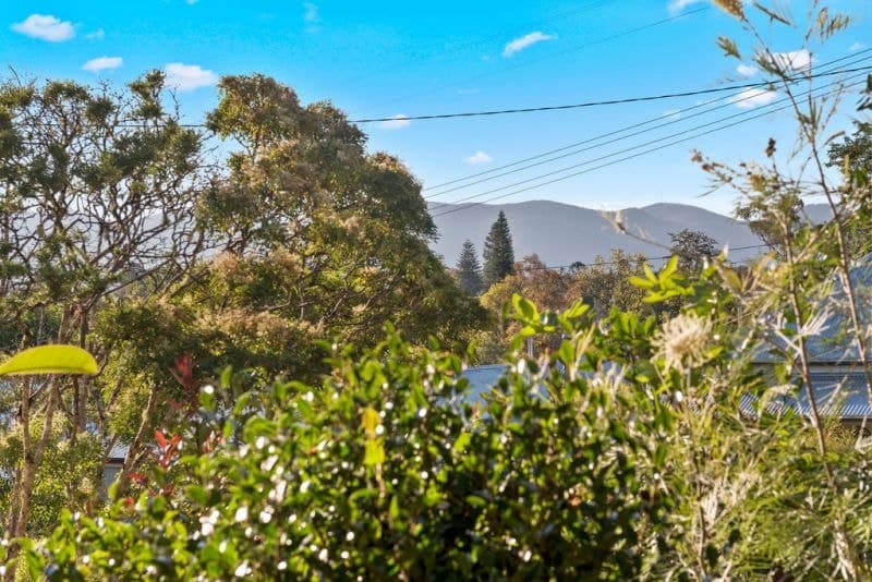 10 Northcote Street BELLINGEN NSW, Bellingen - Thumbnail 5