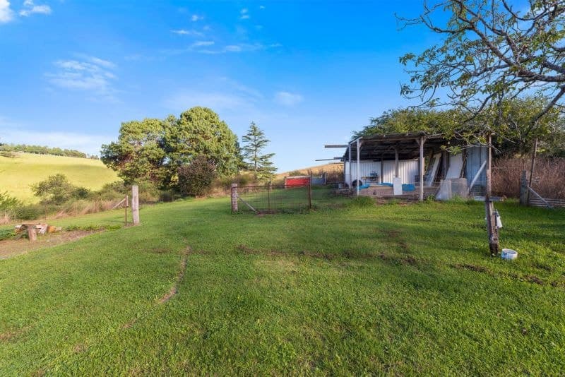 79 Whisky Creek Road DORRIGO NSW, Dorrigo - Thumbnail 7