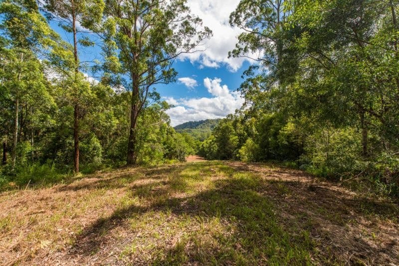 Lot 3 Mallee Road MISSABOTTI NSW, Missabotti - Thumbnail 5
