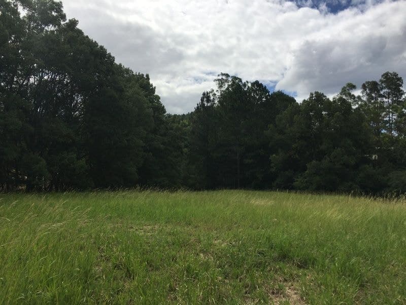 Lot 2/17 Scotchman Road BELLINGEN NSW, Bellingen - Thumbnail 6