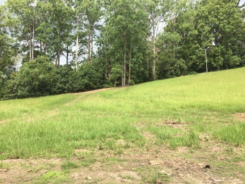 Lot 5/17 Scotchman Road BELLINGEN NSW, Bellingen - Image 1