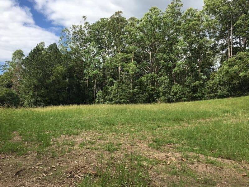 Lot 5/17 Scotchman Road BELLINGEN NSW, Bellingen - Thumbnail 3