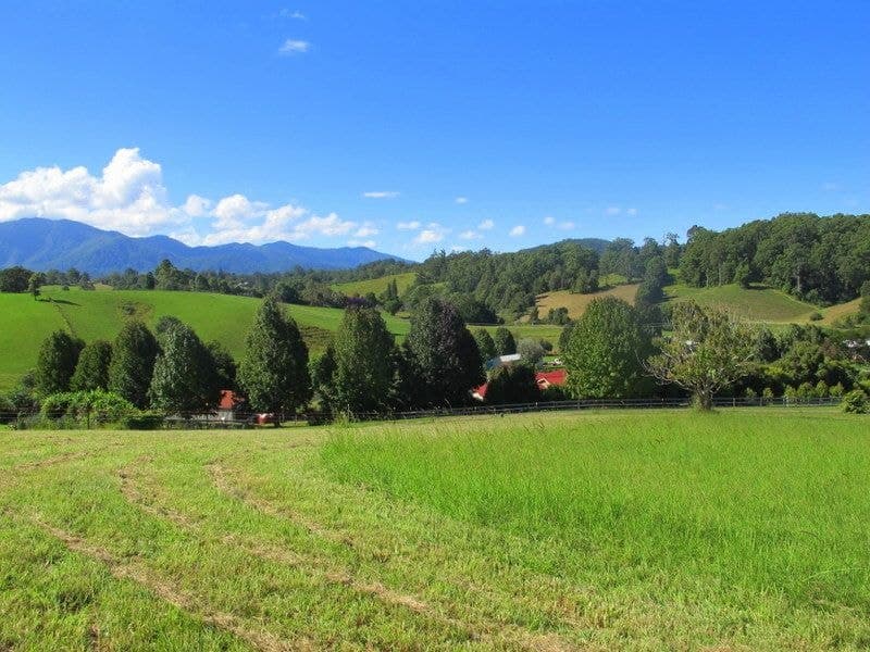 9 Crawford Close BELLINGEN NSW, Bellingen - Image 1